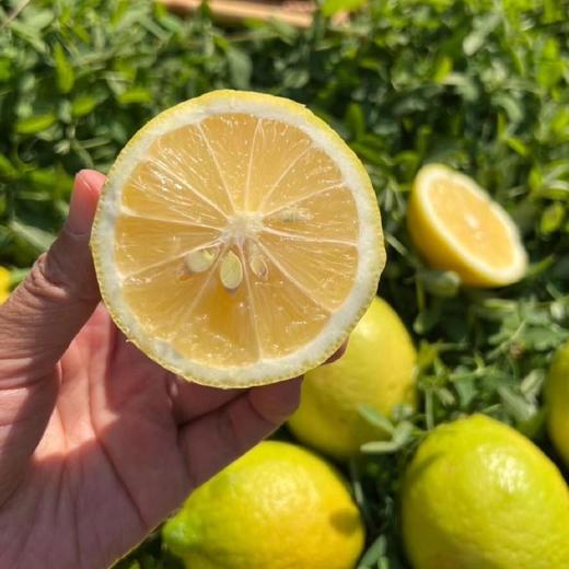 甜柠檬丨一颗不酸的柠檬，散发淡淡的柠檬香气，果肉多汁口感清甜，多种食用方法⭐️顺丰快递 商品图2