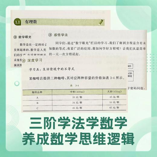 【名师推荐】理解数学+什么是初中物理+什么是初中数学 商品图6