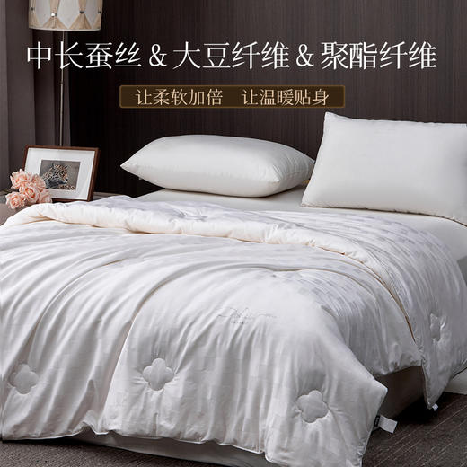 多喜爱 倾颜蚕丝大豆被/冬被/子母被【蚕丝+大豆填充】【全棉面料】【织带工艺】【精致绗缝】【精美烫钻】 轻盈蓬松 柔暖亲肤 商品图3
