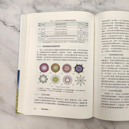 靶向药物递送 商品图10