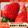 【建德草莓 助农帮扶 】馋了一年的建德红颜草莓甜蜜上市！现摘现发 顺丰直达，高颜值，香甜多汁！（中/大/特大果3盒净重2.8斤以上） 商品缩略图0
