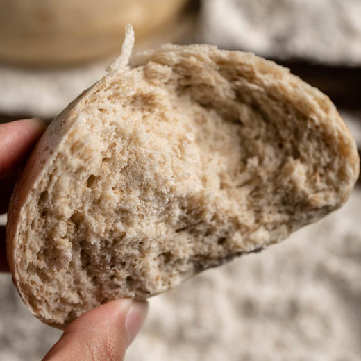 极客面粉 我家麦子磨的 啥也不加 会员群里连续好评两年 介于中筋与高筋之间⭐️顺丰快递 商品图5