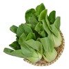 有机上海青 250g/份 商品缩略图1