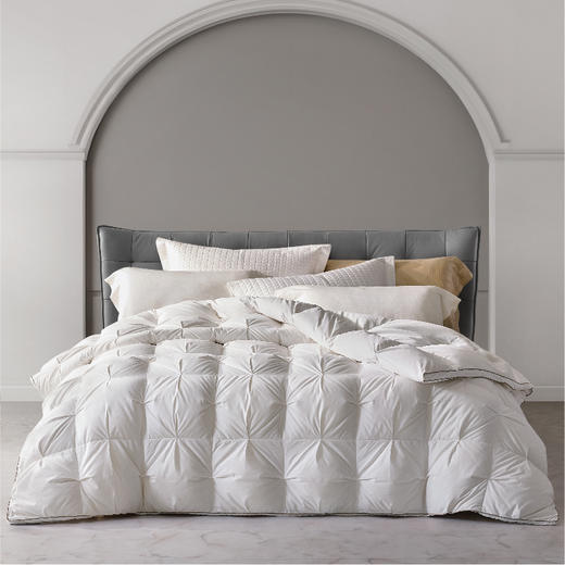 罗莱 粹 超柔无边桑蚕丝鹅绒 冬被 白色 商品图0