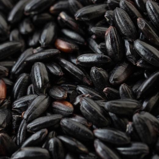 有机杂粮系列丨有机红米，有机黑米，有机糯米，有机燕麦米，有机荞麦米，有机高粱米，源自东北黑土地的五谷杂粮，可煮粥，煮饭，打米糊，⭐️中通/德邦快递 商品图3