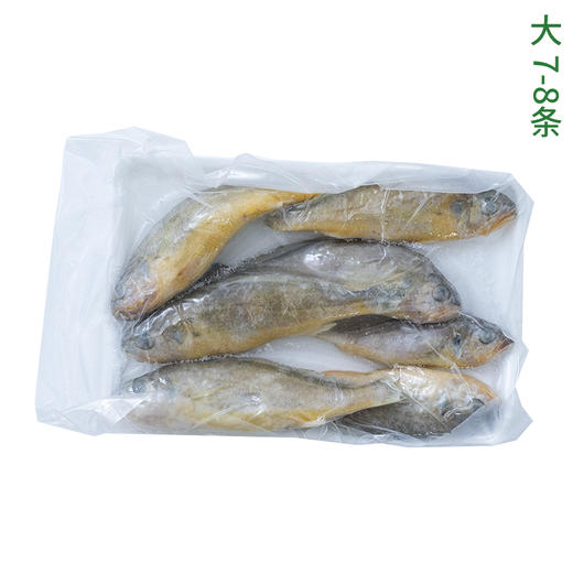 【4份包邮】小黄花鱼500g 渤海湾深海野生捕捞，跟养殖的大黄花鱼不一样⭐️顺丰快递 商品图6