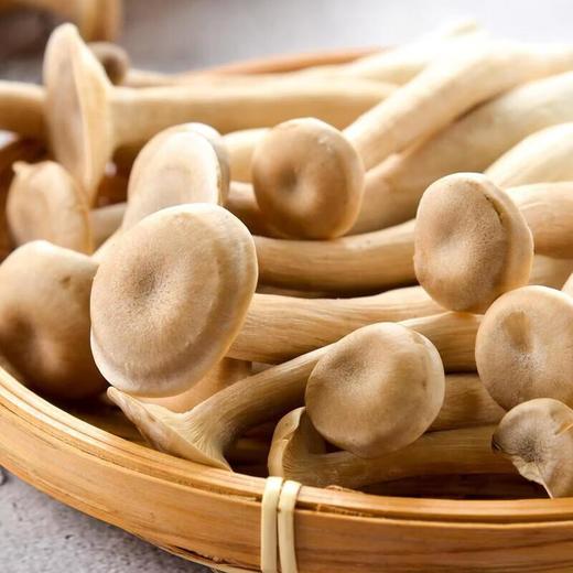 那云那南有机鹿茸菇 120g/份 商品图1