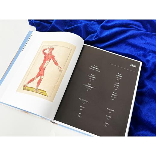剖身见骨：解剖学5000年风云史诗  了解如故事般有趣的5000年解剖学史，见证百余位解剖学家杰作诞生，赏析300余幅精美插图 商品图5