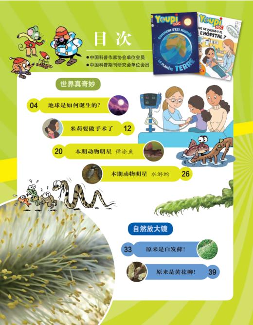 《童话王国·玩转地球》2026年12期征订（共10本）【赠随机过刊1本】 商品图1