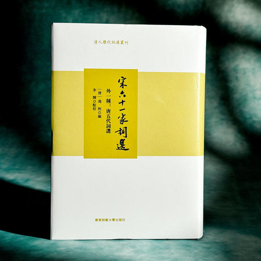 宋六十一家词选 外一种 清人历代词选丛刊 精装 商品图3