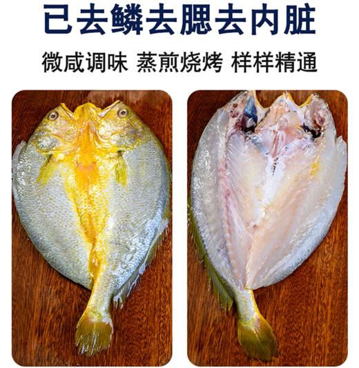 鲜到鲜得速冻锁鲜开背大黄鱼400g*3条去鳞去鳃去内脏 商品图2