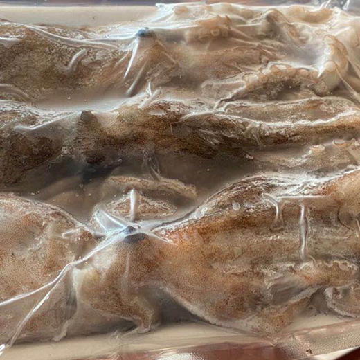 【4份包邮】长腿蛸500g丨不加水单冻的 鲜味十足 口感劲道⭐️顺丰快递 商品图9