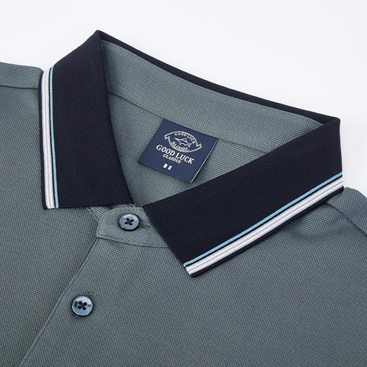 【莱赛尔】德鲨男装夏季翻领t恤男休闲撞色上衣打底POLO衫 商品图4