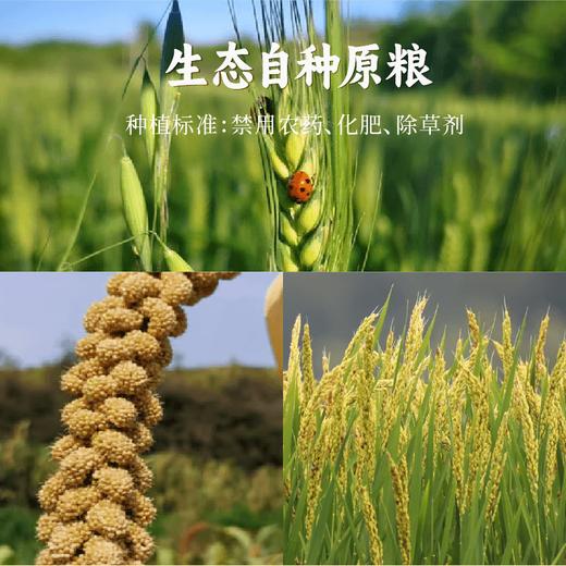 【谦益】稻喜心意礼盒（零食礼盒） 7种健康零食 993g  送礼优选 商品图2
