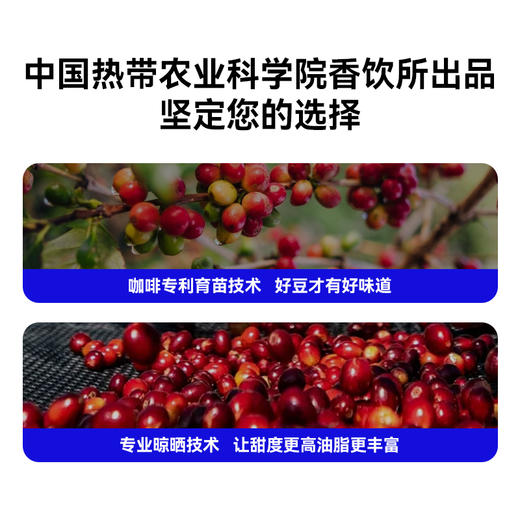 兴科咖小司商用级咖啡豆1kg海南兴隆咖啡油脂丰富 商品图4