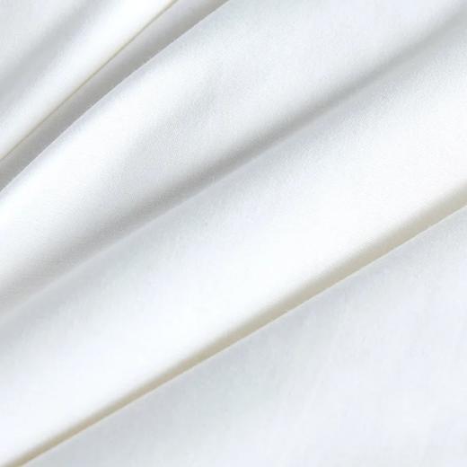 罗莱 智∙享航天分区蓄暖95白鹅绒 冬被 白色 商品图3