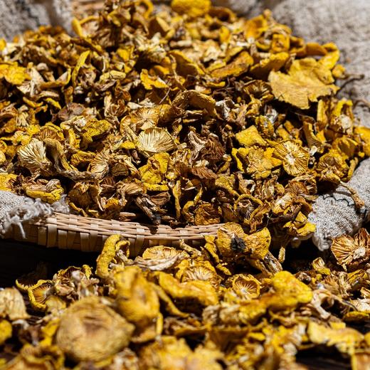 榛蘑/黄蘑/红松伞丨东北长白山原始林区，纯野生自然生长，肉质肥厚紧实，自然晾晒，自带浓郁菌香，250克/袋⭐️中通/申通/韵达 商品图3