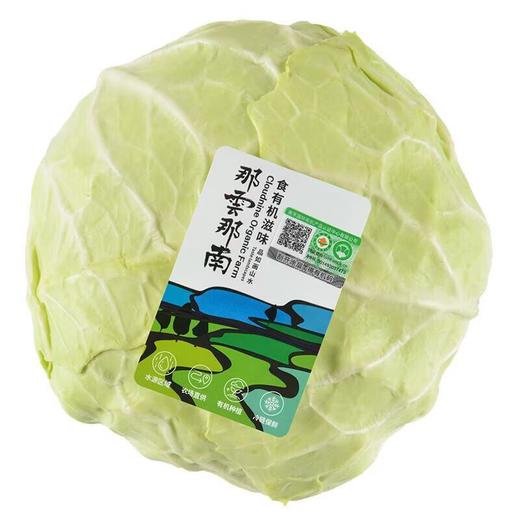 那云那南有机水果甘蓝 500g/份 商品图2