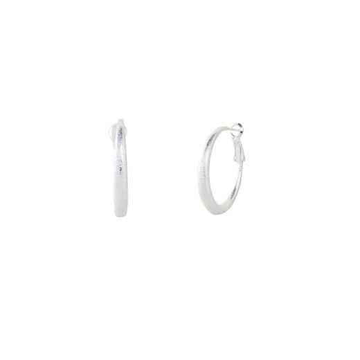 【宋轶同款】三彩2026新款极简风金属肌理耳圈耳环s925银针欧美 商品图2