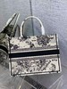 迪奥 茹伊印花book 白星座 tote 托特 小/中 号（LZ ） 商品缩略图3