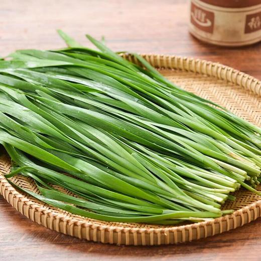 那云那南有机韭菜 250g/份 商品图3