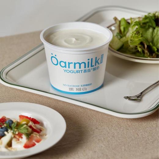 吾岛无蔗糖酸奶420g 商品图3