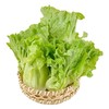 有机意大利生菜 250g/份 商品缩略图0