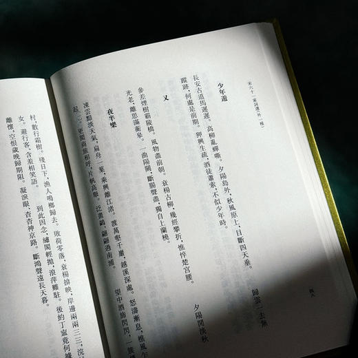 宋六十一家词选 外一种 清人历代词选丛刊 精装 商品图9