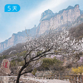 经典南太行｜53公里精华徒步 国内十大经典徒步路线之一 5日