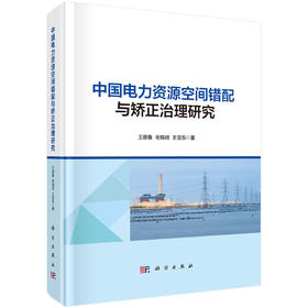中国电力资源空间错配与矫正治理研究