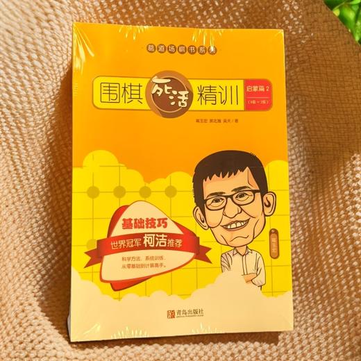 围棋死活题书籍（柯洁推荐，送20个小天分析或棋谱海报） 商品图4