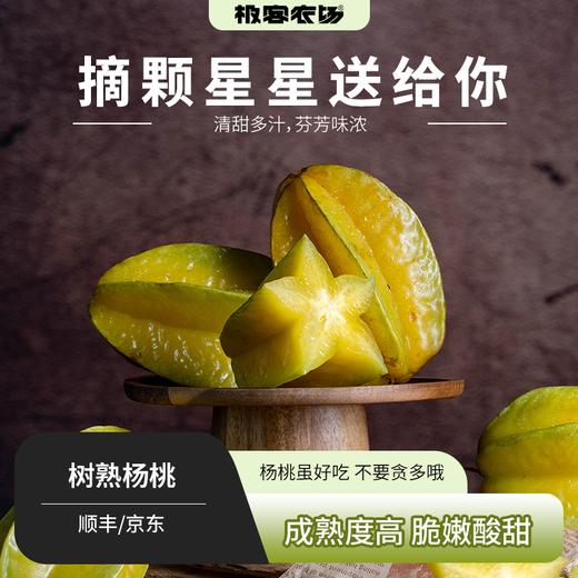 生态杨桃丨生态种植，成熟时呈黄色，皮薄纤维少，果脆汁多，清甜带酸，风味浓郁，温度低，到货可以放一放变色再食用。⭐️京东快递 商品图0