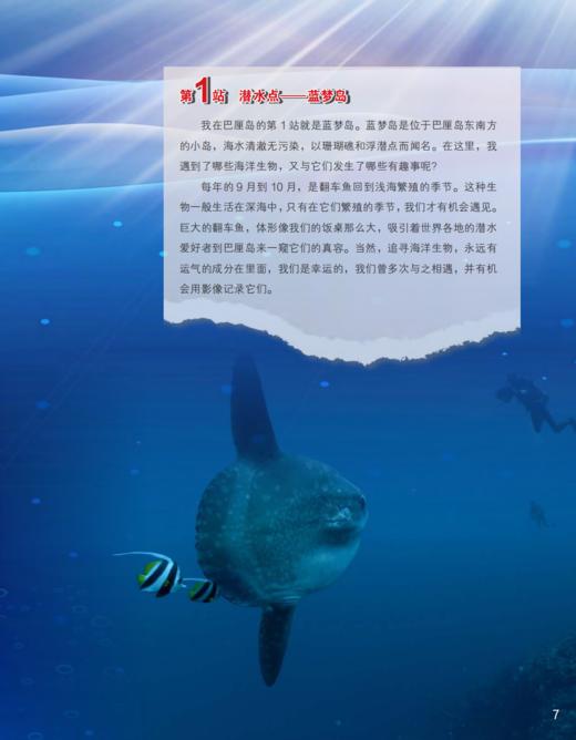 《百科探秘·海底世界》2026年12期征订（共10本）【赠随机过刊1本】 商品图4