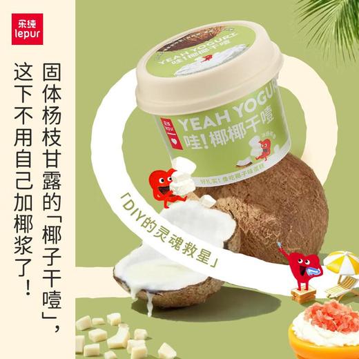 乐纯椰椰干噎酸奶100g 商品图0