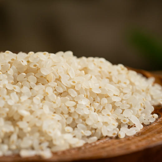 有机胚芽米| 源自东北黑土地核心产区，北纬42°黄金水稻种植带，生产与加工双有机认证，留胚率＞90%，蕴含稻谷80%的营养，软糯香甜，现磨现发，浓米汤补心气，500g*5袋⭐️中通/顺丰快递 商品图1