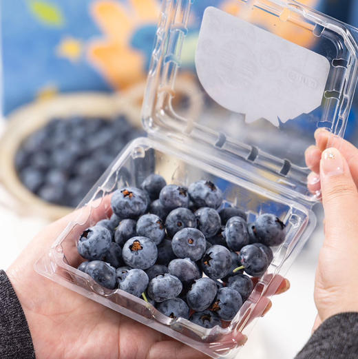 石家庄优选仓库速达，星莓-花香蓝莓18-22+，果肉紧实，果粉充足，脆甜爆浆，花香味浓郁，125g*4/8盒礼盒装 商品图4