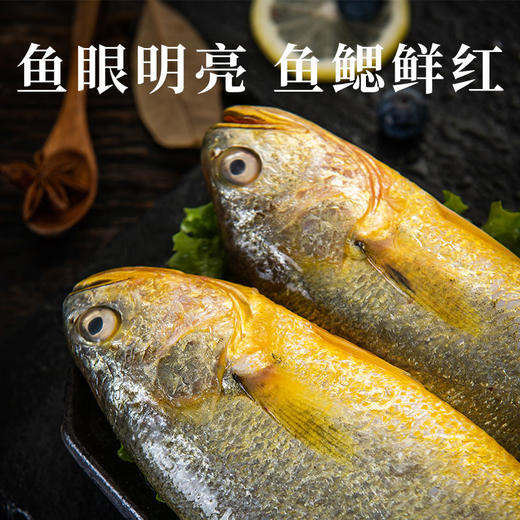 鲜活速冻锁鲜生态大黄鱼550g*3条 商品图2