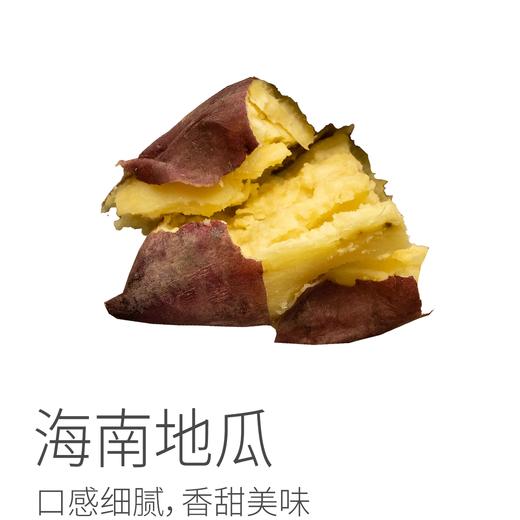 【京东快递】海南地瓜丨口感非常细腻，美味，两头略有丝，但不影响食用，让你吃完一个忍不住再来一个！天气原因，地瓜会有发芽的情况，不影响食用，介意慎拍！ 商品图0