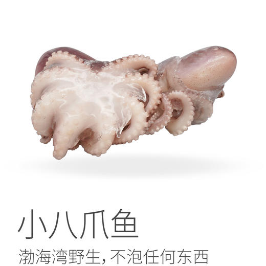 【满209元陆运包邮】海鲜冻品系列丨渤海湾野生捕捞 鲳鱼 黄花鱼 带鱼  鲅鱼 虾仁 瑶柱 鱿鱼耳 鱿鱼须 大鱿鱼 长腿巴蛸 小八爪鱼 黑虎虾滑 牛筋丸⭐️顺丰快递 商品图10