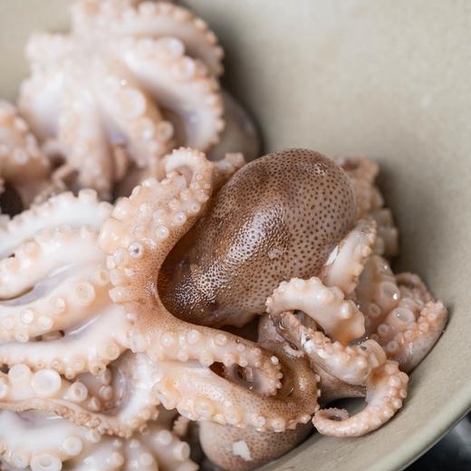 【任选4份包邮】小八爪鱼丨渤海湾野生 不泡任何东西⭐️顺丰快递 商品图7