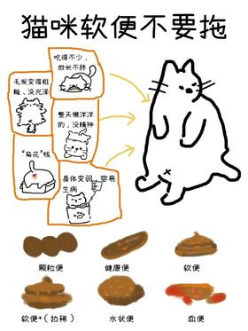 猫咪软便反反复复不好的得重视