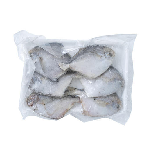 【4份包邮】银鲳鱼500g 渤海湾深海野生捕捞 跟养殖的大金鲳鱼不一样，⭐️顺丰快递 商品图4