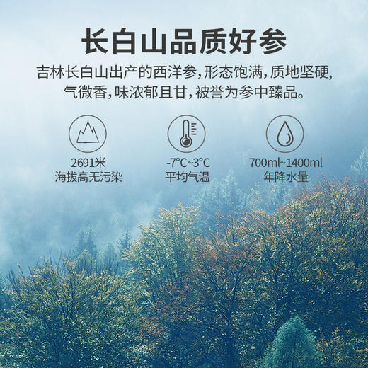 蔡府长白山西洋参片20g 商品图4