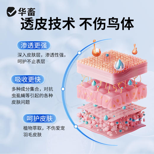 华畜鹦鹉驱虫喷雾鸟用体外杀虫剂除羽虱螨虫八哥玄凤虎皮专用药 商品图3