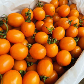 【一定要多吃瘦身糖丸千禧果】来自海沙地的小甜番，瘦身的精髓就在这！瘦就现在！