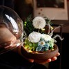 【鲜花制作❗️送人佳品】GLORIOUS永生花蒲公英成品热卖情人节礼物闺蜜伴手礼礼物。jd 商品缩略图2