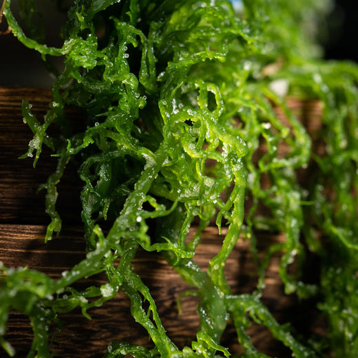 霞浦龙须菜&海带嫩苗| 海中蔬菜，口感鲜脆，用于烹炒、凉拌、羹汤、煲粥、涮火锅皆宜⭐️圆通/中通/邮政随机 商品图2