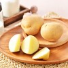 那云那南有机土豆 400g/份 商品缩略图0