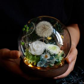 【鲜花制作❗️送人佳品】GLORIOUS永生花蒲公英成品热卖情人节礼物闺蜜伴手礼礼物。jd