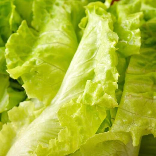 有机意大利生菜 250g/份 商品图2